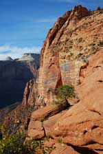 zion_overlook